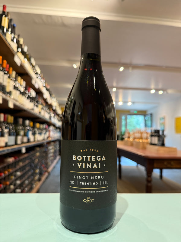 Bottega Vinai, Pinot Nero 2022, Trentino
