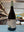 Domaine de Boischampt, Chenas 2024, Beaujolais