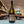 Tyler, Chardonnay 2023, Santa Barbara County